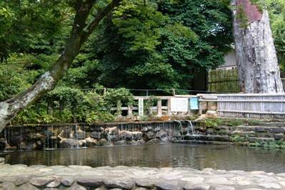 💧 토도로키 샘(토도로키 스이겐)